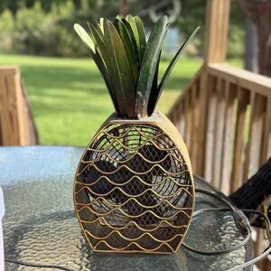 Electric Pineapple Fan